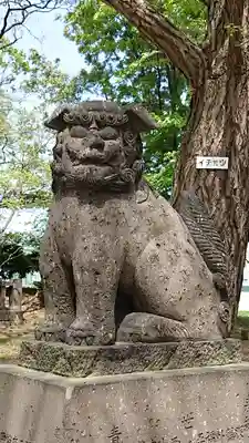 江南神社の狛犬