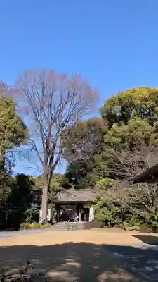 阿佐ヶ谷神明宮(東京都)