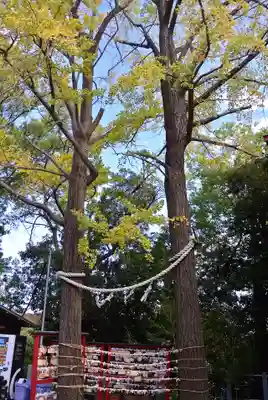 多摩川浅間神社(東京都)