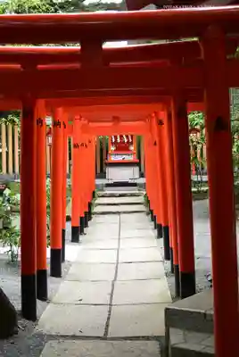 來宮神社(静岡県)