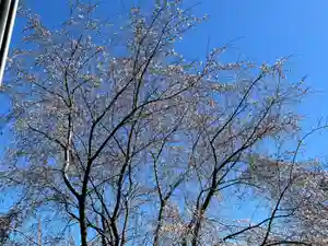 大宮温泉神社(栃木県)(2022年04月06日(水) 07時13分28秒投稿)