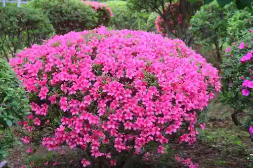 開成山大神宮の庭園