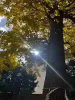 一山神社(埼玉県)