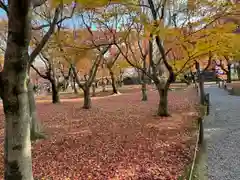 東福禅寺（東福寺）(京都府)