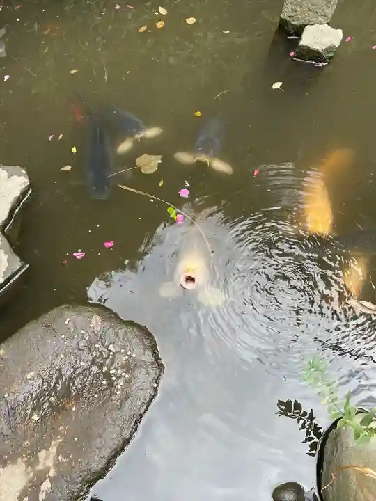 大綱金刀比羅神社(神奈川県)