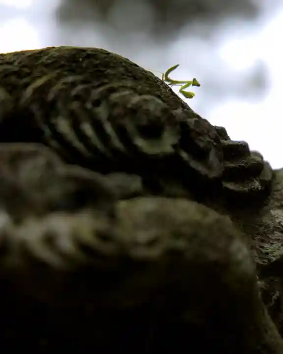 國王神社(茨城県)