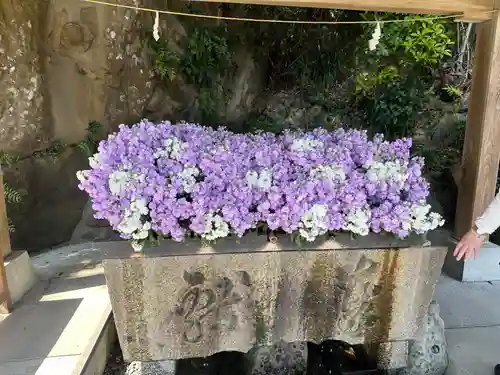 鵜戸神宮(宮崎県)