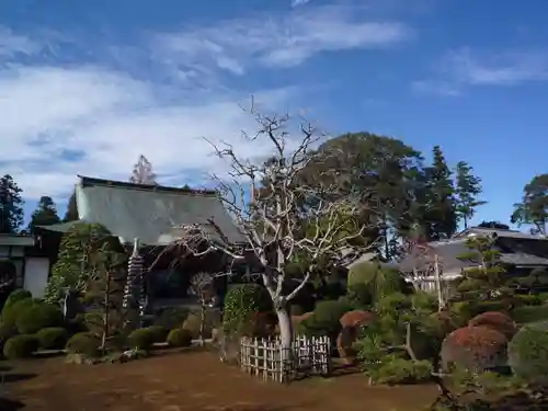 龍泉院の庭園