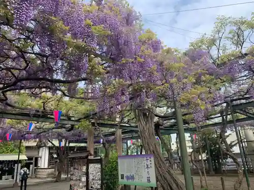 國領神社の庭園