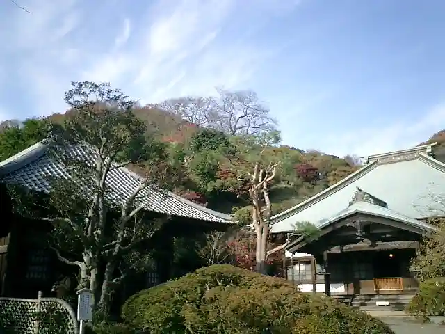 海蔵寺の本殿・本堂