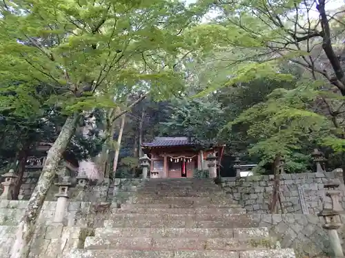 厳原八幡宮神社の本殿・本堂