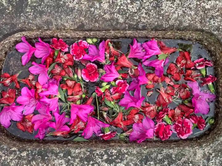 野見神社(大阪府)