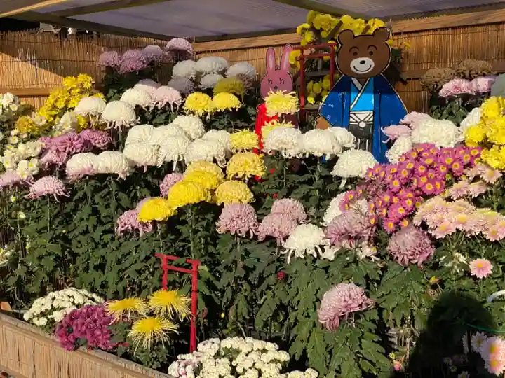 宮地嶽神社の自然