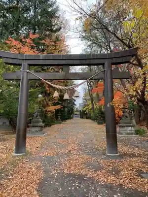 信濃神社の鳥居