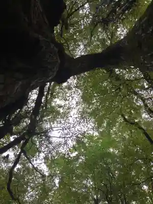 富岡神社(北海道)