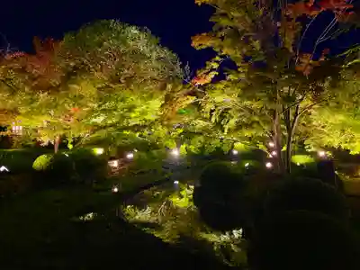 東寺（教王護国寺）(京都府)