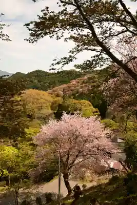 𠮷水神社（吉水神社）(奈良県)