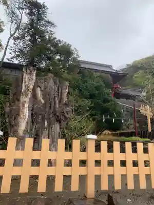鶴岡八幡宮のその他建物
