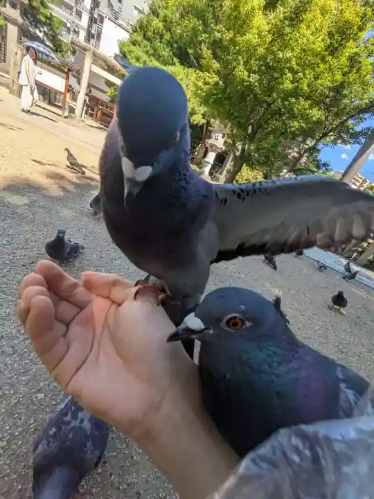 四柱神社(長野県)