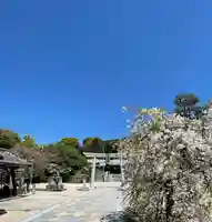 鶴羽根神社(広島県)