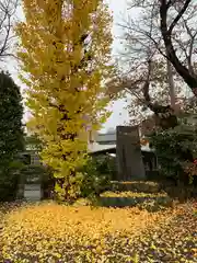 八雲神社の自然