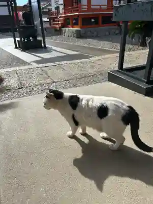 龍泉寺(愛知県)