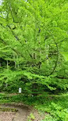 観音寺(福島県)