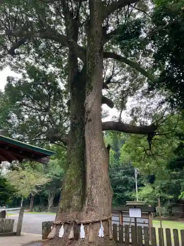 住吉神社(長崎県)