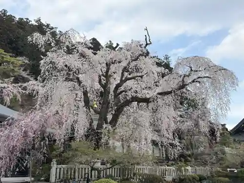 久遠寺(山梨県)