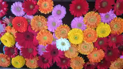 法輪寺の手水舎