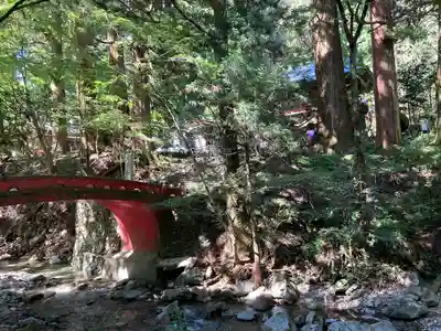 花園神社(茨城県)