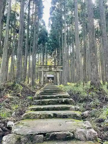 賀茂神社(京都府)