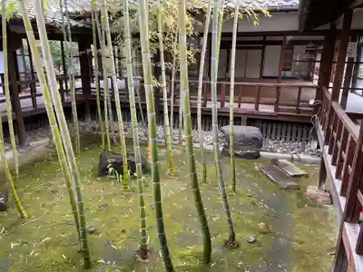 妙顯寺（妙顕寺）(京都府)