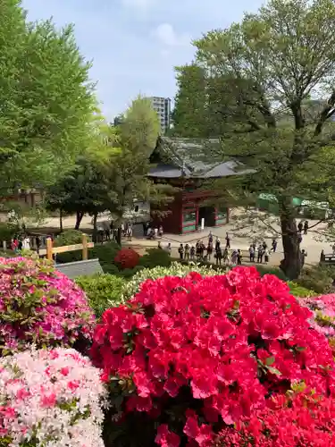 根津神社の庭園