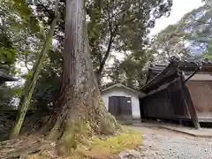 吉野山口神社(奈良県)