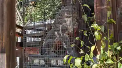 長尾天満宮(京都府)