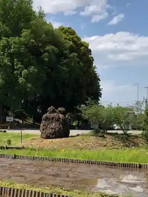 糀谷八幡宮の周辺