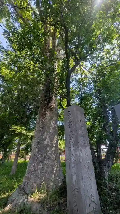 大前神社の{uncategorized: "未分類", other: "その他", undefined: "問題あり", building: "その他建物", grave: "お墓", sacred_gate: "鳥居", guardian: "狛犬", statue: "像", buddha: "仏像", history: "歴史", nature: "自然", garden: "庭園", animal: "動物", pagoda: "塔", temizu: "手水舎", mountain_gate: "山門・神門", sanctuary: "本殿・本堂", subordinate: "末社・摂社", art: "芸術", scenery: "景色", jizo: "地蔵", ema: "絵馬", goshuin: "御朱印", omikuji: "おみくじ", items: "授与品その他", amulet: "お守り", goshuincho: "御朱印帳", eats: "食事", festival: "お祭り", votive_dance: "神楽", shichigosan: "七五三参", wedding: "結婚式", experience: "体験その他", initially: "初詣", around: "周辺", anti_infection: "感染症対策"}