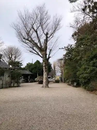 小田井縣神社(兵庫県)