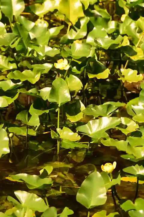 宝積山光前寺(長野県)
