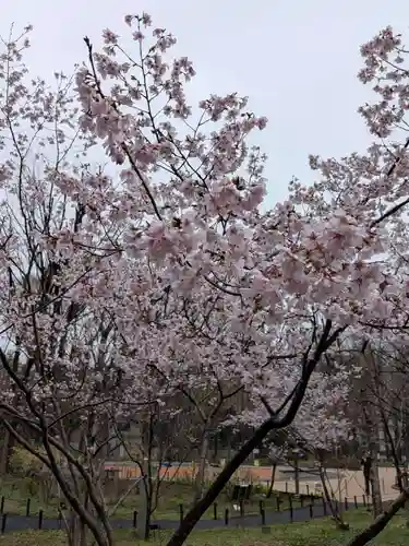 熊野神社(東京都)