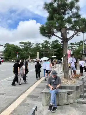 出雲大社(島根県)