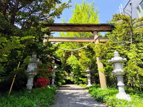 平岸天満宮・太平山三吉神社の鳥居