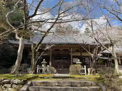 勝持寺（花の寺）(京都府)