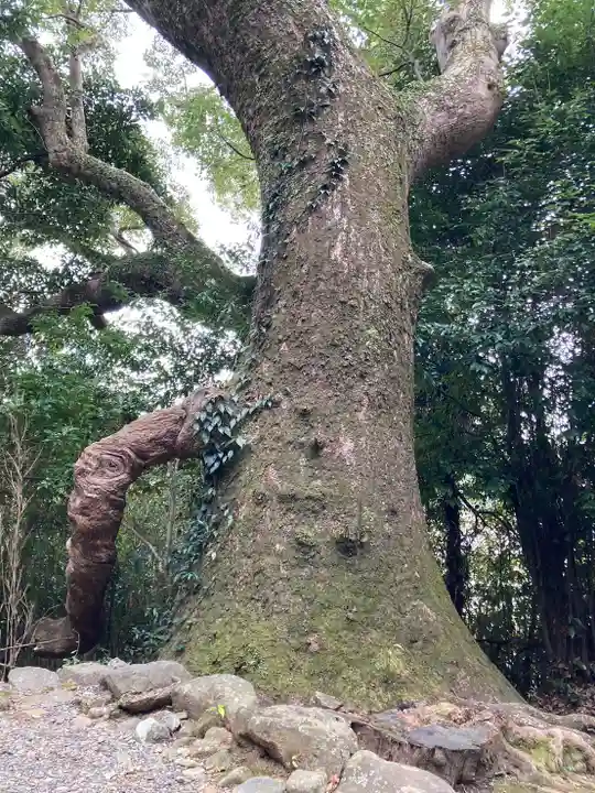 月讀宮(皇大神宮別宮)(三重県)