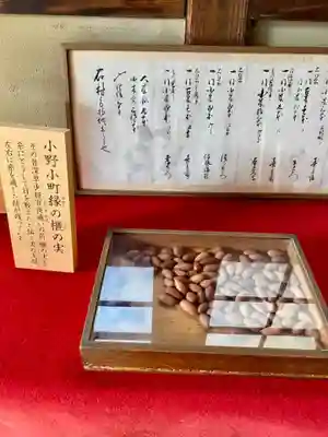 隨心院(随心院)(京都府)