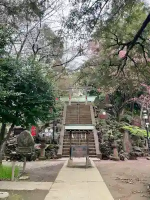 駒込富士神社(東京都)