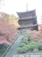 常樂寺の塔