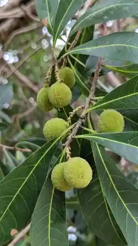 海印寺寂照院(京都府)