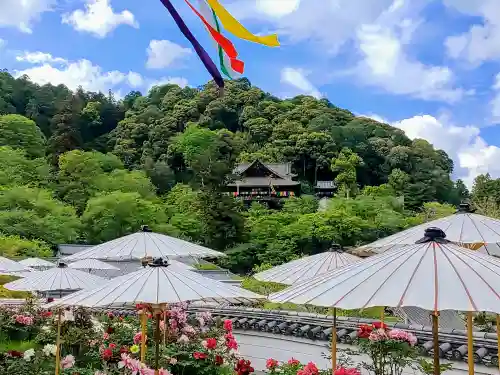 長谷寺の景色